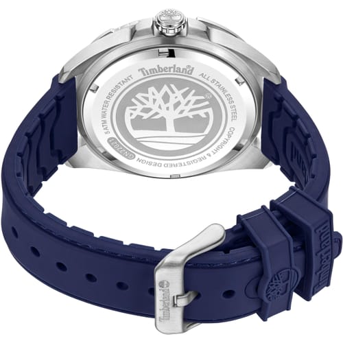 Just time 2024 Male Carrigan Watch TDWGB2230604 Timberland for