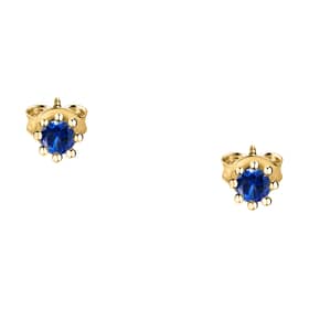 Live diamond Earrings Contemporary - LDY040216