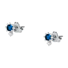 Live diamond Earrings Contemporary - LDW031213