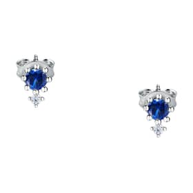 Live diamond Earrings Contemporary - LDW031213
