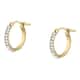 D'Amante Earrings Crystal hoops - P.76W801000200
