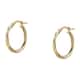 D'Amante Earrings Creole - P.76K901003600