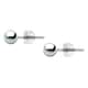 D'Amante Earrings B-classic - P.77C901003800