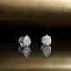 D'Amante Earrings B-classic - P.77C901006900