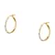 D'Amante Earrings Creole - P.49K901000400