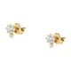 Live diamond Earrings Contemporary diamond - LDY023120