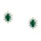 Live diamond Earrings Classic gem stone - LDY100175