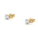 Live diamond Earrings Classic diamond - LDY060146I