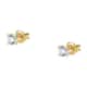 Live diamond Earrings Classic diamond - LDY040141