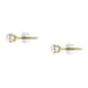 D'Amante Earrings Micron - P.763D01000200
