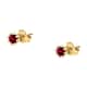Live diamond Earrings Contemporary - LDY040218