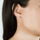 D'Amante Earrings Crystal - P.254701000500