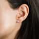 D'Amante Earrings Crystal - P.254701000400