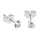 D'Amante Earring Promesse - P.77A801000400