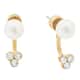 Michael Kors Earrings Fashion - MKJ6301710