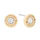 Michael Kors Earrings Iconic - MKJ6359710