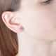 D'Amante Earrings Crystal - P.254701000100