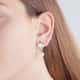 Morellato Earrings Foglia - SAKH15
