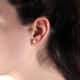 D'Amante Earrings B-classic - P.77C901000400